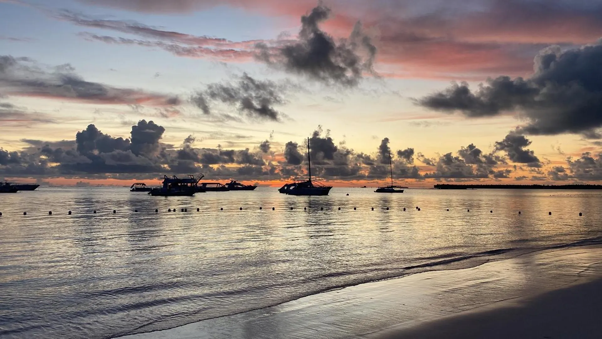 アパート Un Lugar Unico Y Centrico Rd Los Corales プンタ・カナ ドミニカ共和国