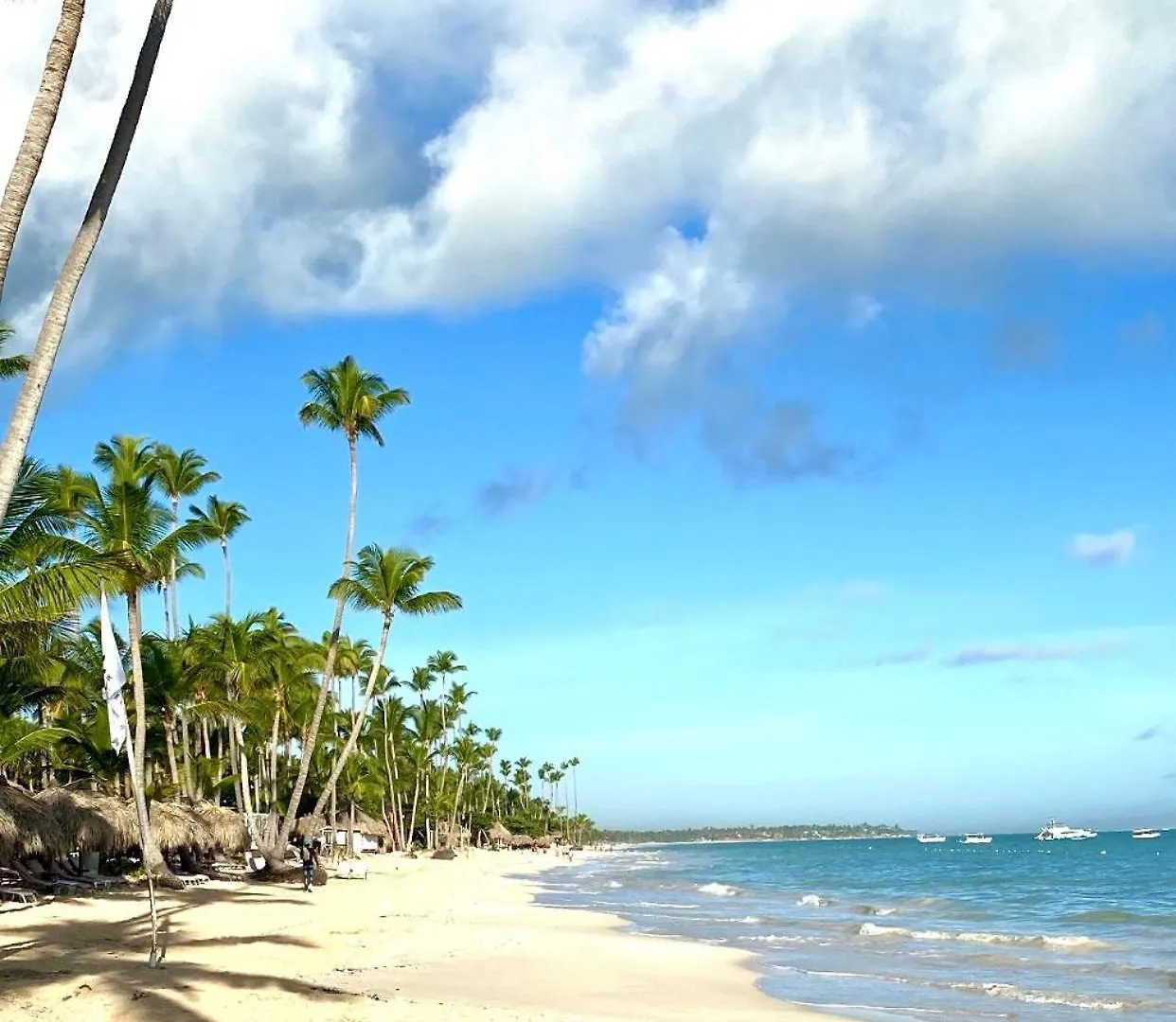 Un Lugar Unico Y Centrico Rd Los Corales Punta Cana Apartment
