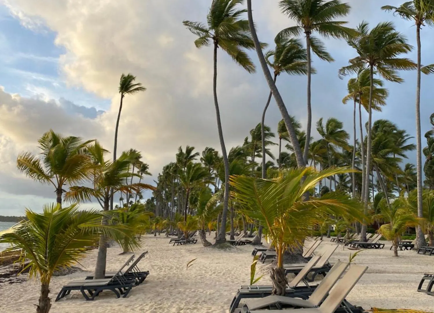 Un Lugar Unico Y Centrico Rd Los Corales Punta Cana
